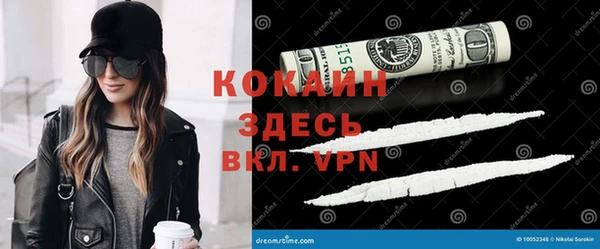 хмурый Арсеньев