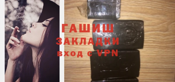 хмурый Арсеньев