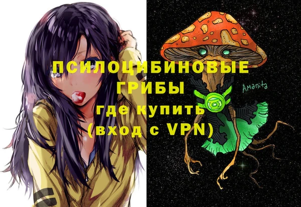 хмурый Арсеньев