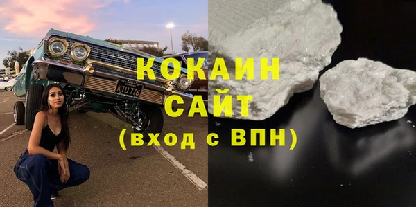 хмурый Арсеньев