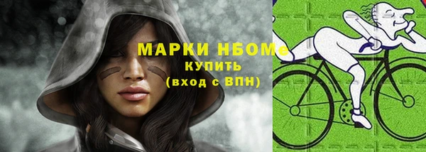 хмурый Арсеньев
