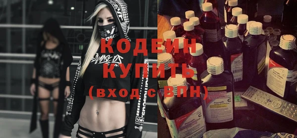 хмурый Арсеньев